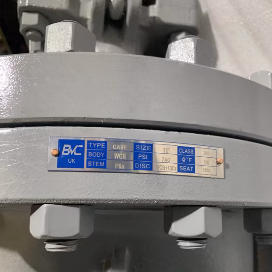 Rising Stem Cast Steel Full Bore Double Flanged OS&Y Wedge API 600 Gate Valve (China Manufacturer price)