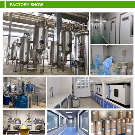 Factory Supply Plant Extracts 100% Natural Original Peony Bark Powder for Hypoglycemic