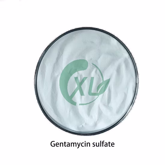 Hot Quality Antibiotic Powder Gentamycin Sulfate 1405